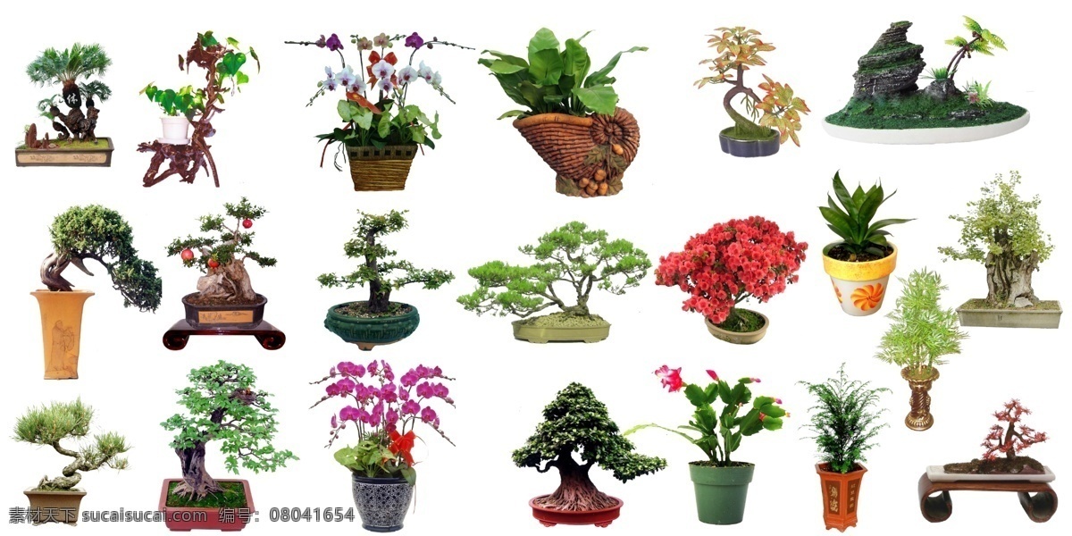 盆栽 花盘 红枫盆栽 红花 花第的素材 室内盆栽 盆景 花草 分层 源文件