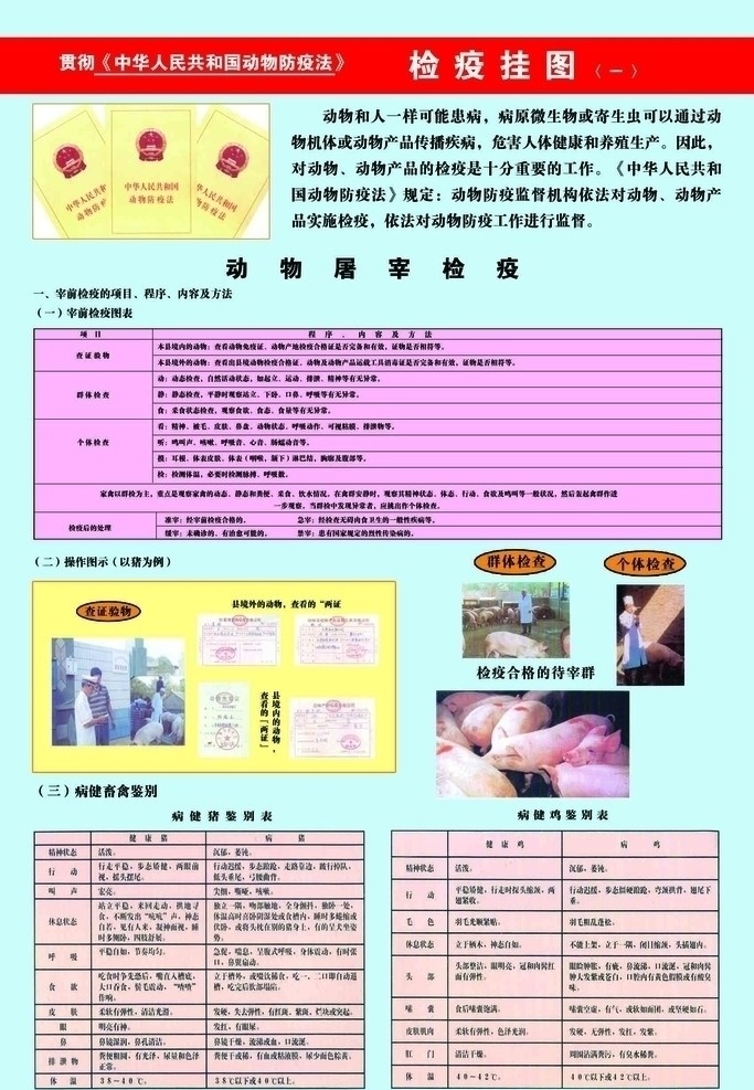 检疫挂图 动物屠宰检疫 检疫中心 检疫操作程序 检疫检查 动物检查 源文件 分层
