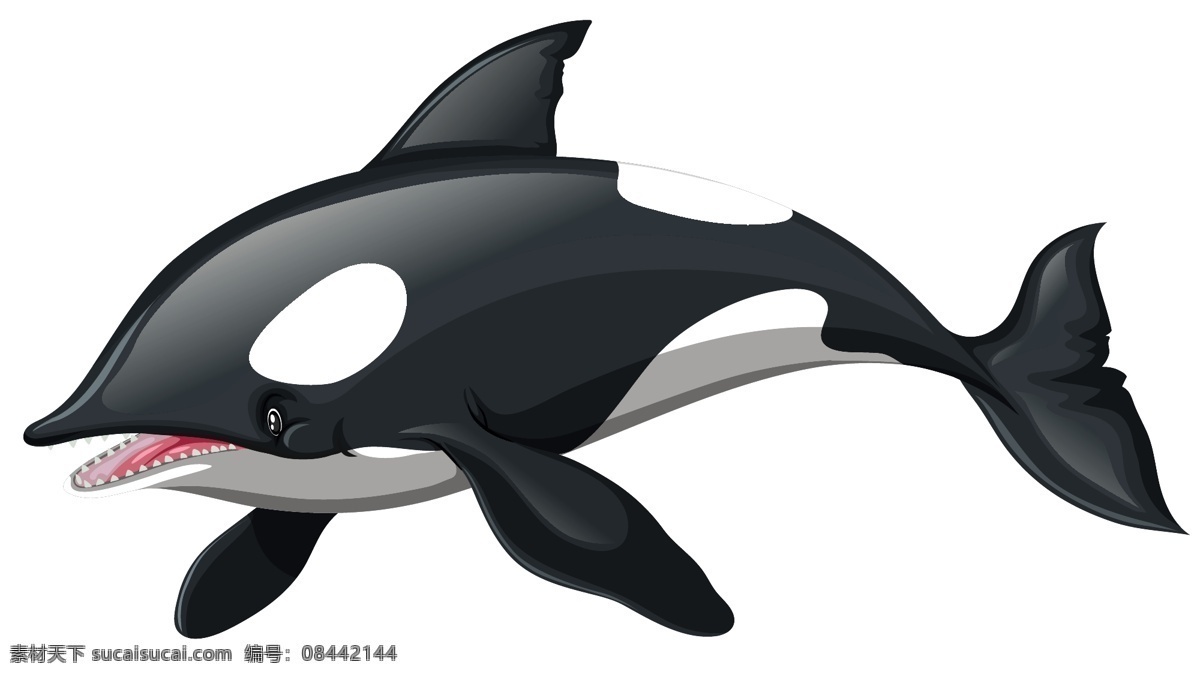 深海鲸鱼 动物 海洋 深海 鲸鱼 黑鲸
