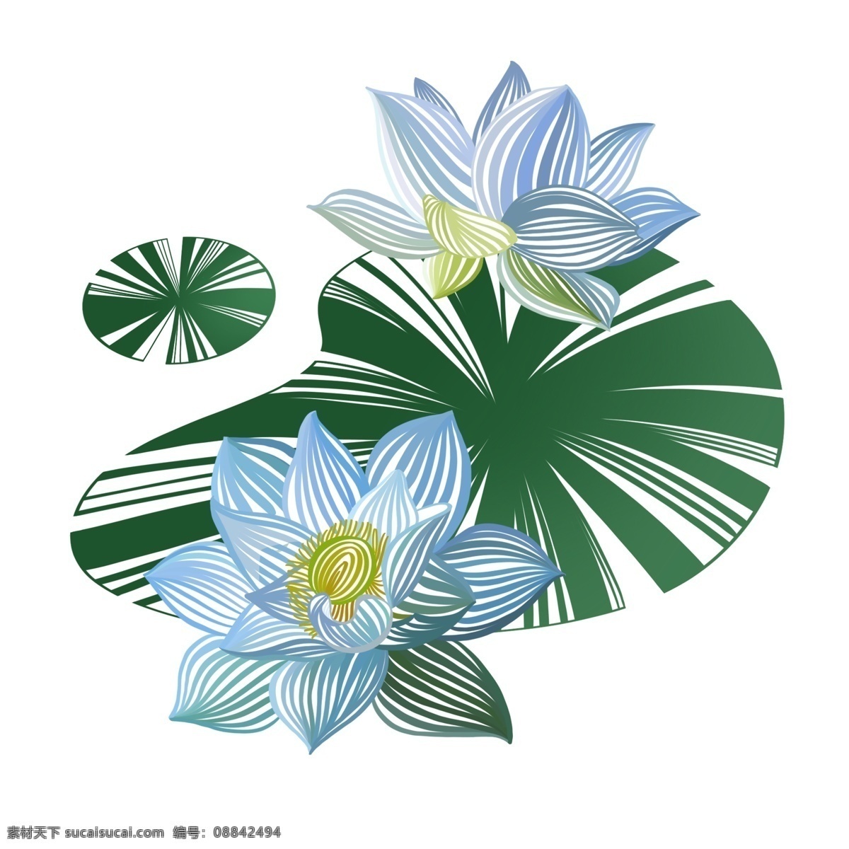 原创 手绘 插画 荷花 荷叶 元素 配 图 lotus 淡雅 小清新 蓝色 绿色 唯美