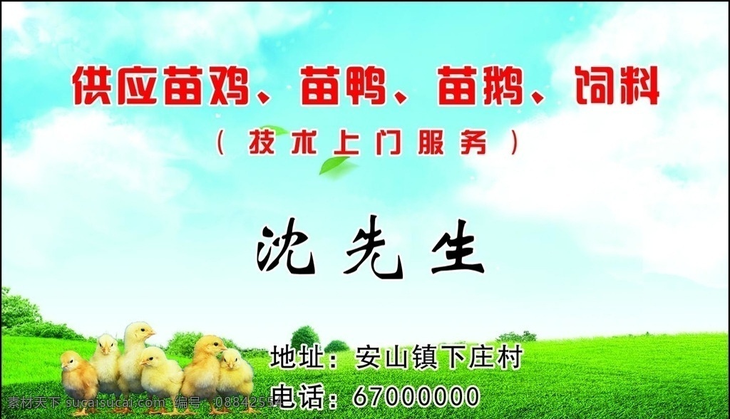 家禽幼崽名片 家禽名片 家禽幼崽 苗鸡名片 苗鸭名片 饲料海报 绿色背景 源文件类