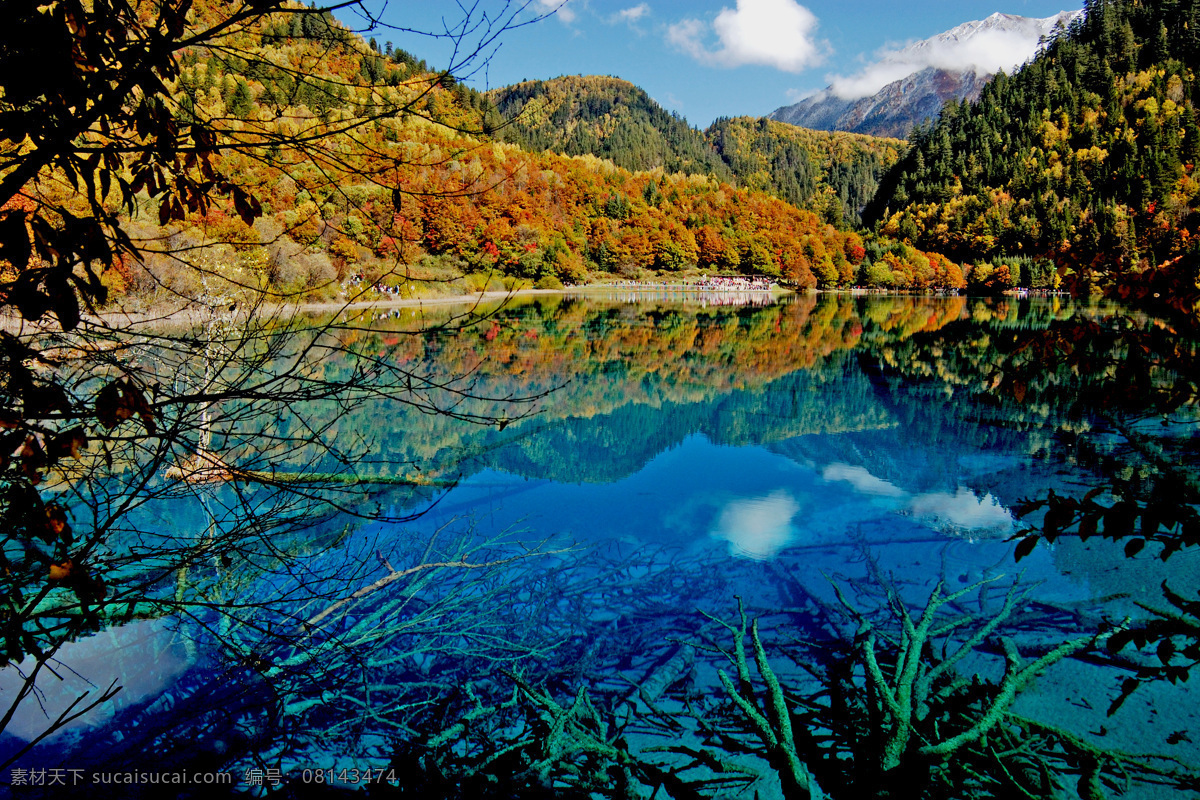 五花海秋色 自然风景 九寨沟 秋色 精美壁纸 风景画 湖水 海子 雪山 蓝天 白云 自然景观