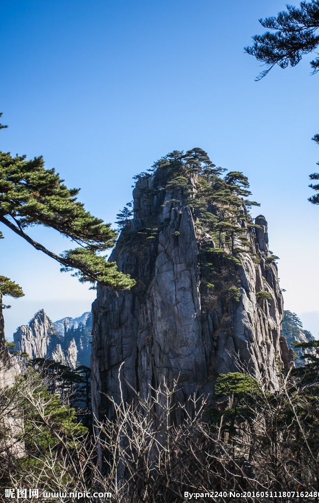 山 画 黄山 风景 旅游 松树 石头 安徽 装饰画 风景画 地质公园 著名景点 黄山之旅 旅游摄影 国内旅游