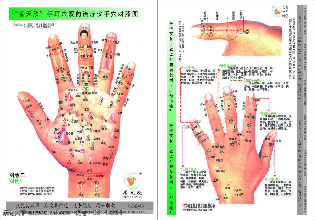 手穴对照图 手穴 逼真 针灸 白色 高端