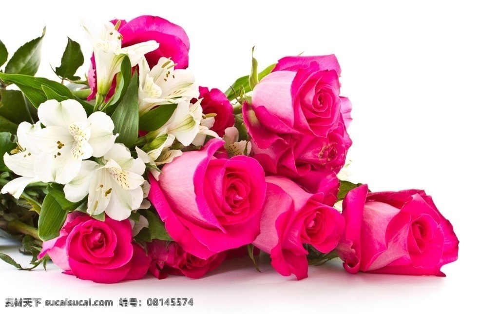 玫瑰 玫瑰花 百合 高清 卡片 贺卡 求爱 求婚 丝绸 绸缎 背景 礼品 礼物 花朵 花素材 花苞 红玫瑰 花卉 红花 粉红玫瑰 花束 情人节 花草 植物 生物世界
