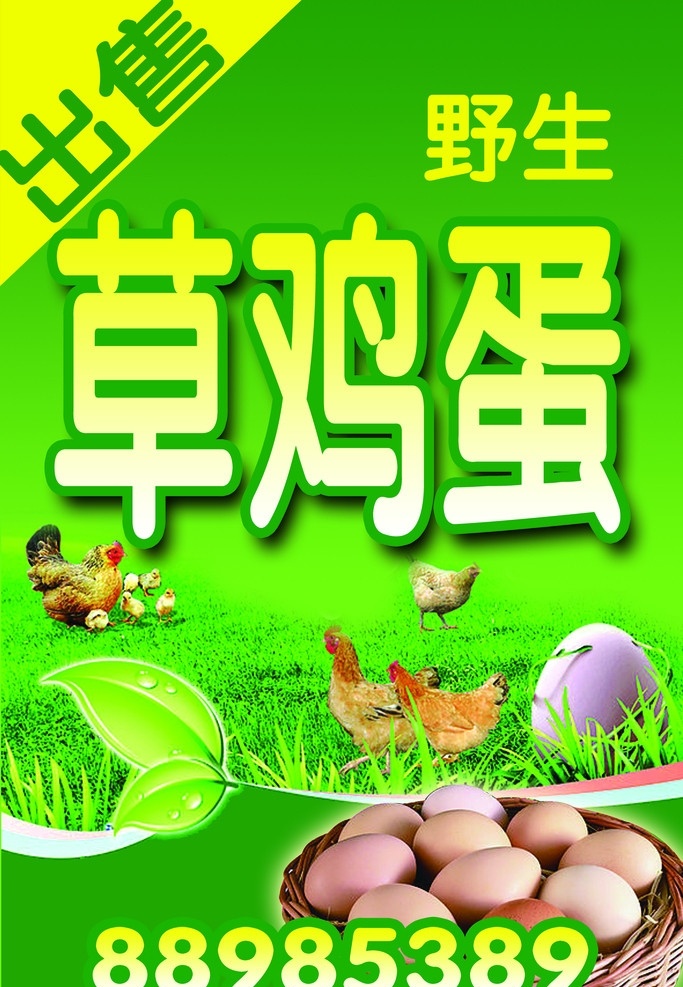 草鸡蛋 叶子 绿色 野生 分层 源文件