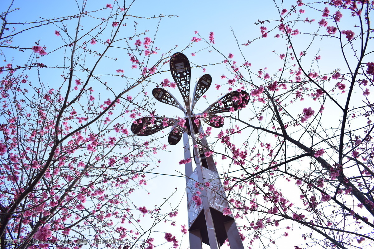 春天 樱花 电脑 壁纸图片 风景 动漫 壁纸 卡通人物 壁纸桌面 萌妹子 风景图片 动漫壁纸 手机 动漫动画 动漫人物 桌面背景 电脑屏保 电脑壁纸 壁纸屏保 清新壁纸 简单壁纸 大屏壁纸 自然景观 自然风光 风景壁纸 高清 电脑桌面 高清壁纸 建筑摄影 建筑园林 壁纸风景 动物 3d 透明 头像 广告 电脑桌面壁纸