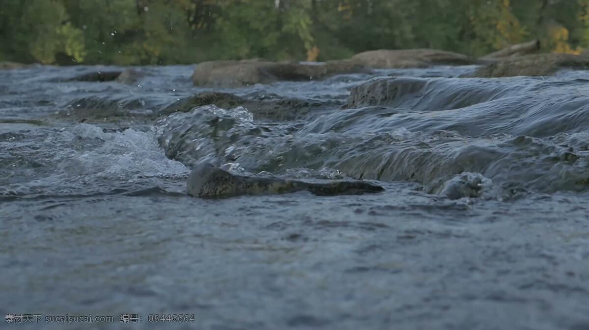 河水慢运动 自然 河 河流 流动 流 水 岩石 在户外 小溪 保护 野生的 外部 平静的 平静 和平 宁静