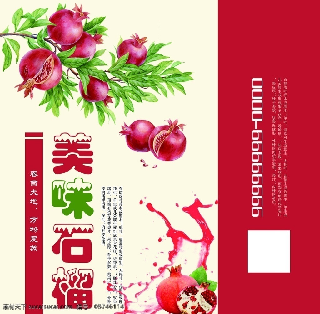 石榴包装袋 石榴 水果 包装 袋子 时尚 彩色 包装设计