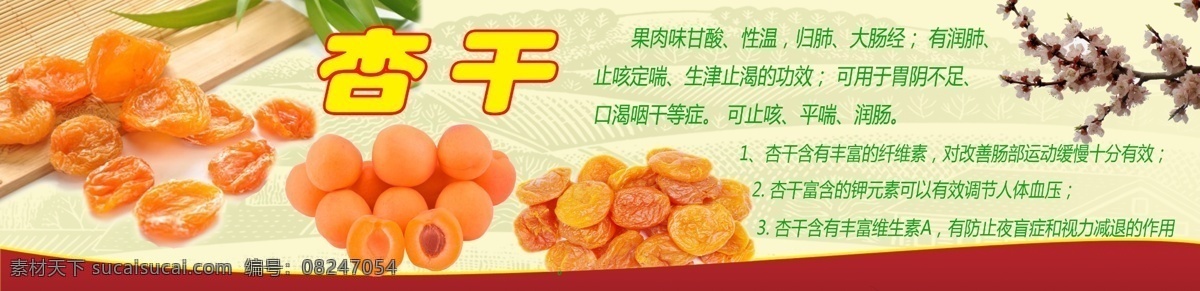 干果杏干 杏干设计 杏子海报 杏子展板 鲜杏子 杏花