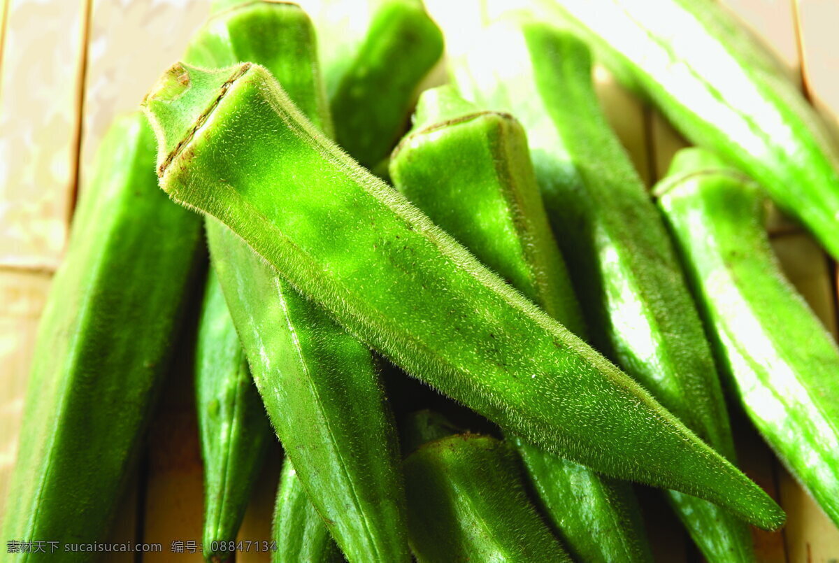 什锦 鲜 蔬 蔬菜 什锦鲜蔬 营养物 生物世界