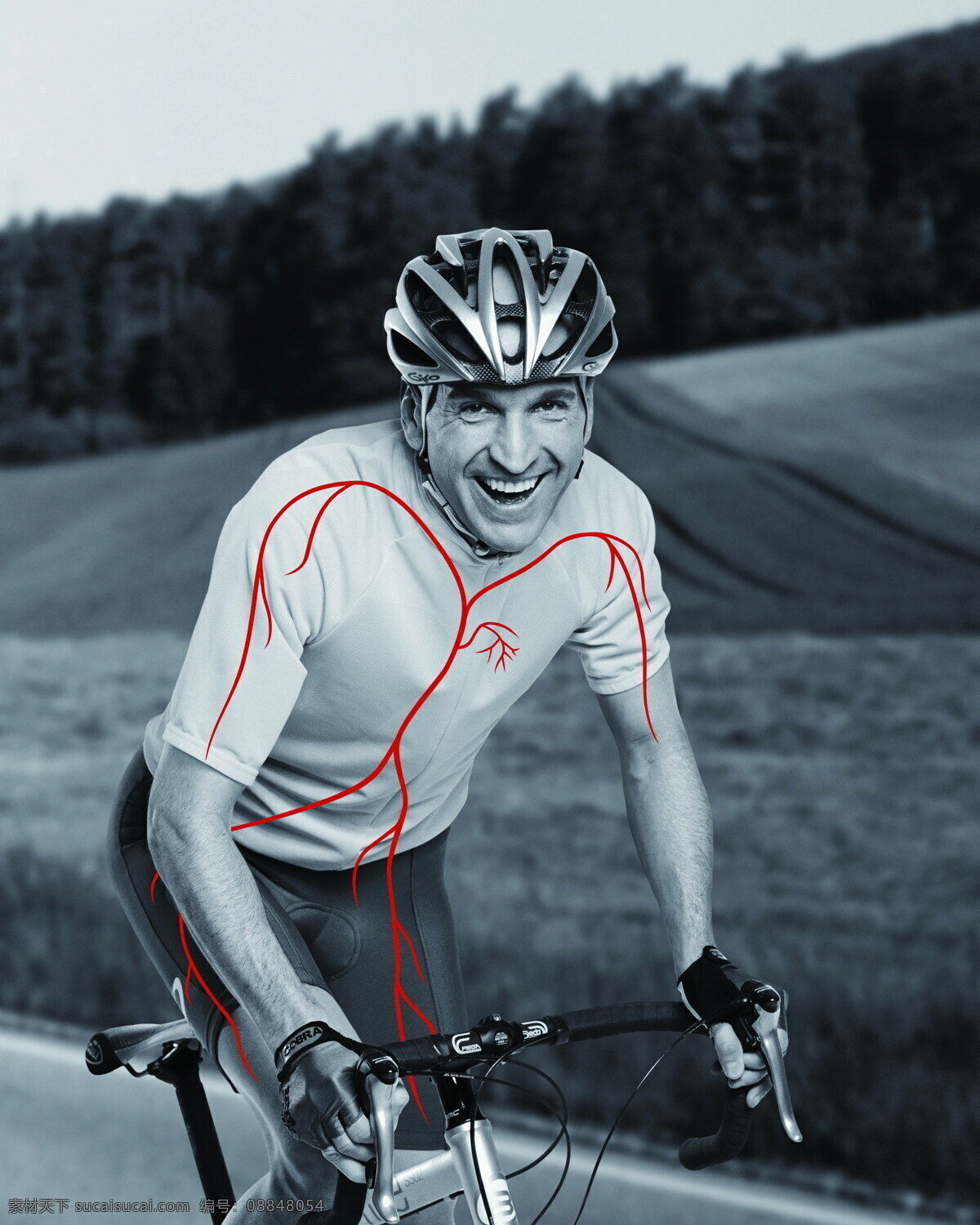 强健 心血管 功能 运动 赛车手 自行车 单车 越野 血液 血液循环 健康 心脏 男性男人 人物图库