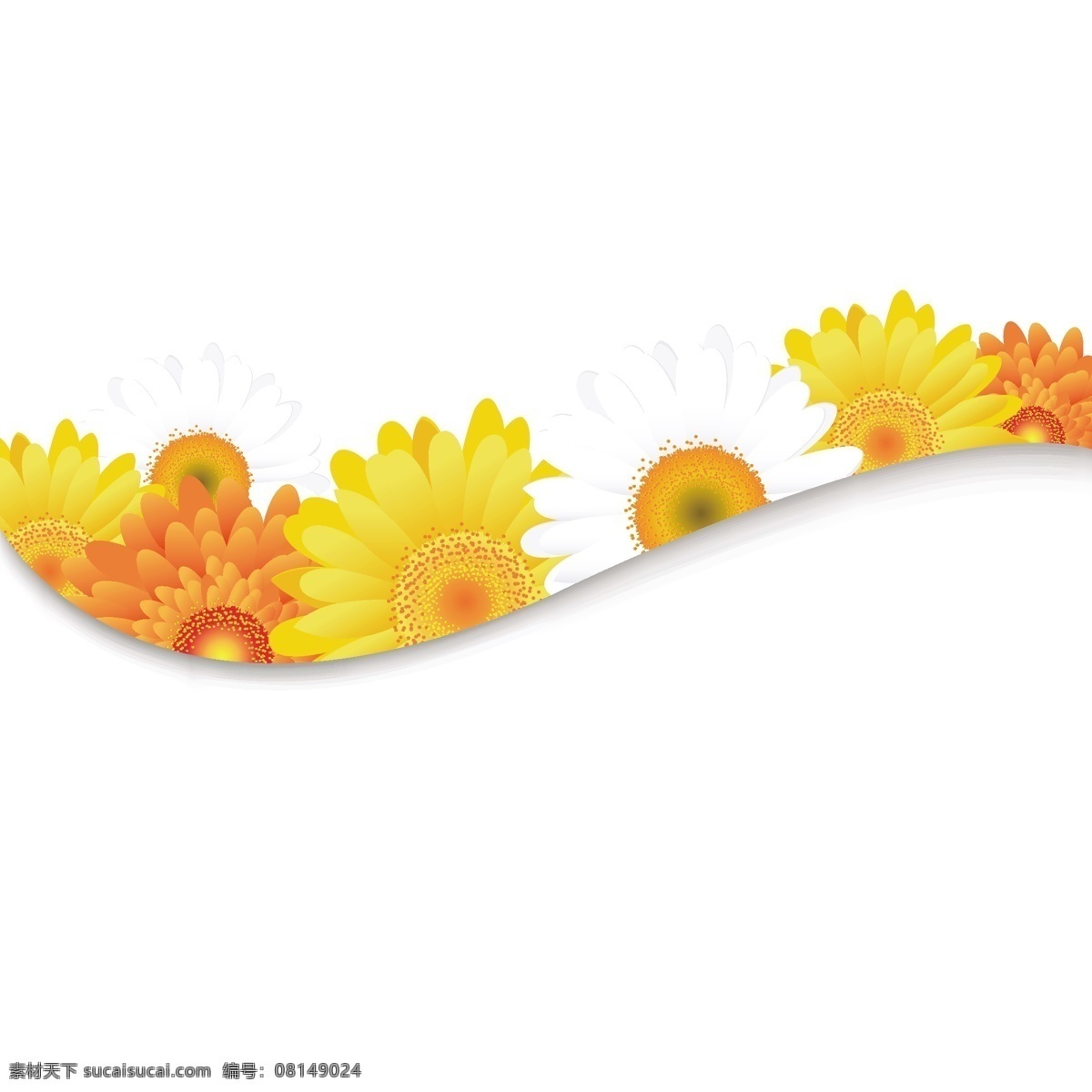 花 花瓣 花边 背景 矢量 雏菊 矢量素材 矢量图 其他矢量图