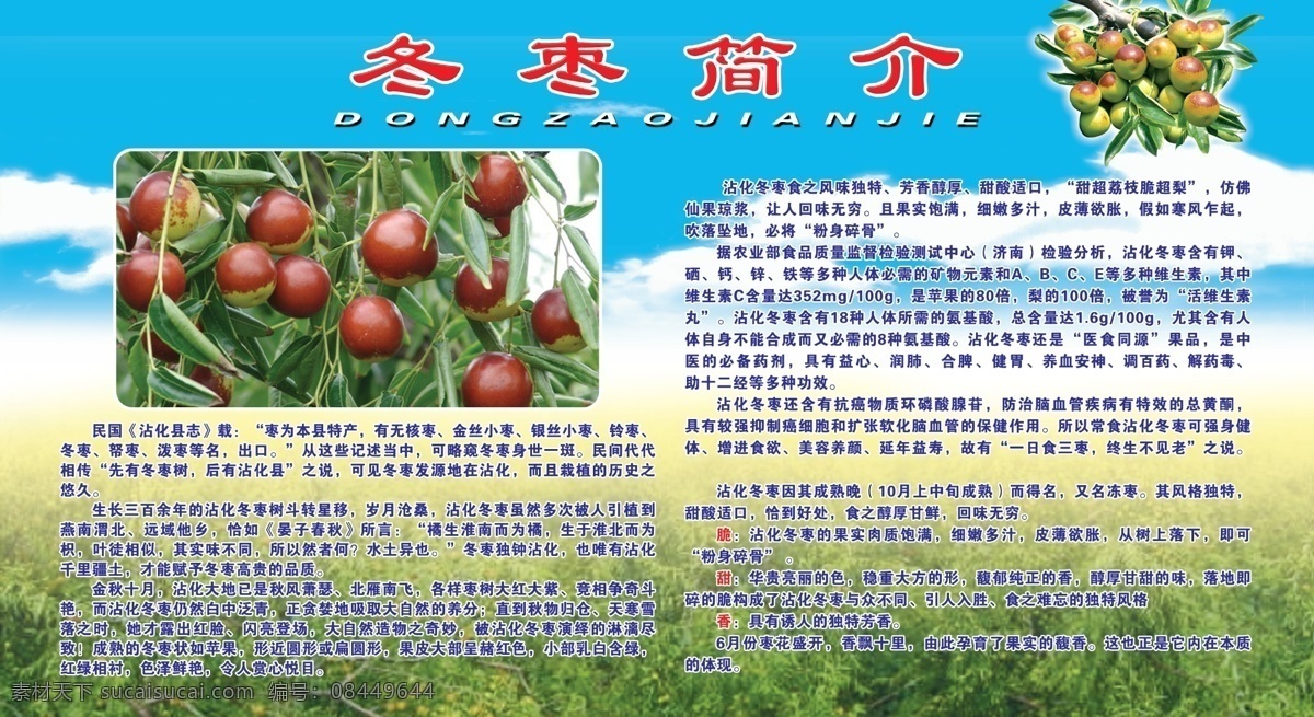 冬枣简介 冬枣 简介 冬枣树 蓝天白云 蓝色 绿色 排版 文字 沾化冬枣 源文件