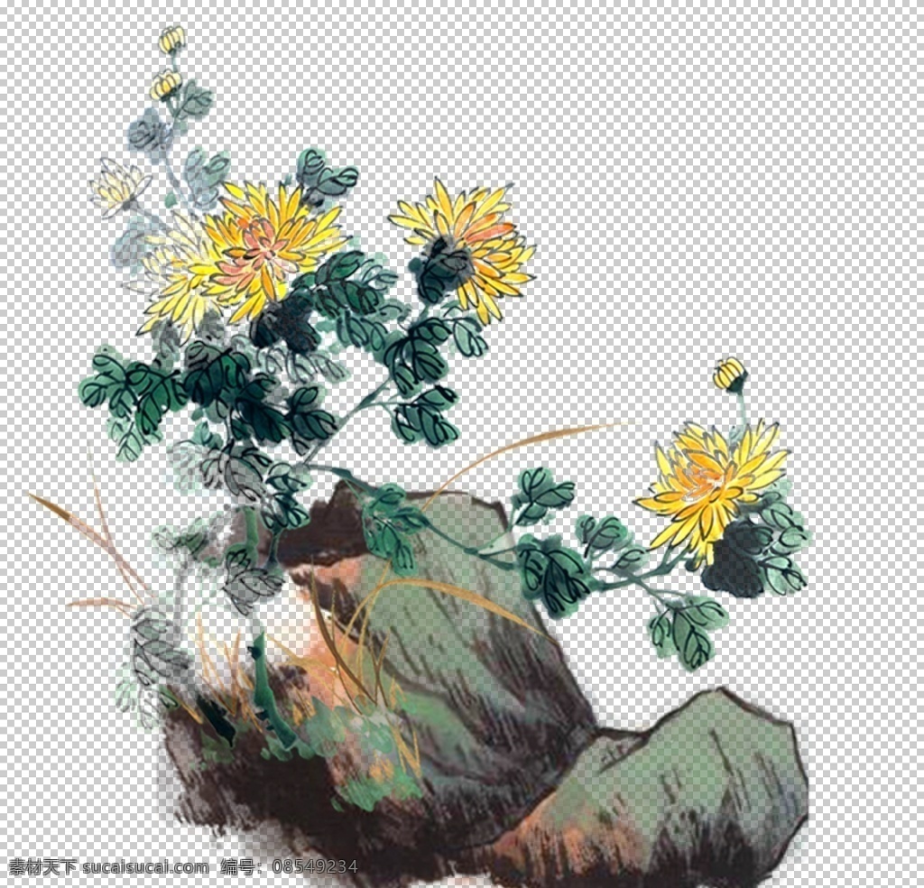 菊花素材图片 菊花素材 国画菊花 水墨菊花 菊花 黄色菊花 重阳节菊花 赏菊 泼墨菊花 毛笔画菊花 秋菊 金色菊花 金黄菊花 红色菊花 中国风菊花 国画 九月九日 传统节日 敬老日 关爱老人 重阳节素材 设计素材