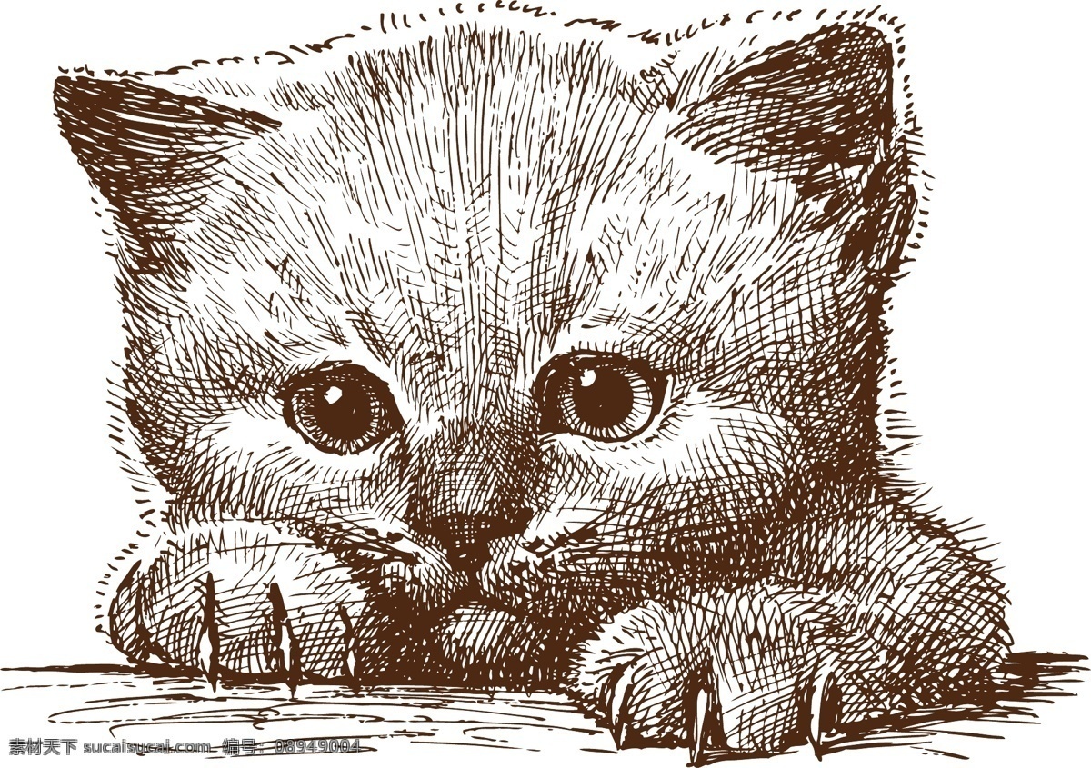可爱 手绘 小猫 矢量 动物 猫 猫咪 矢量素材 素描 速写 线稿 线条 矢量图 其他矢量图