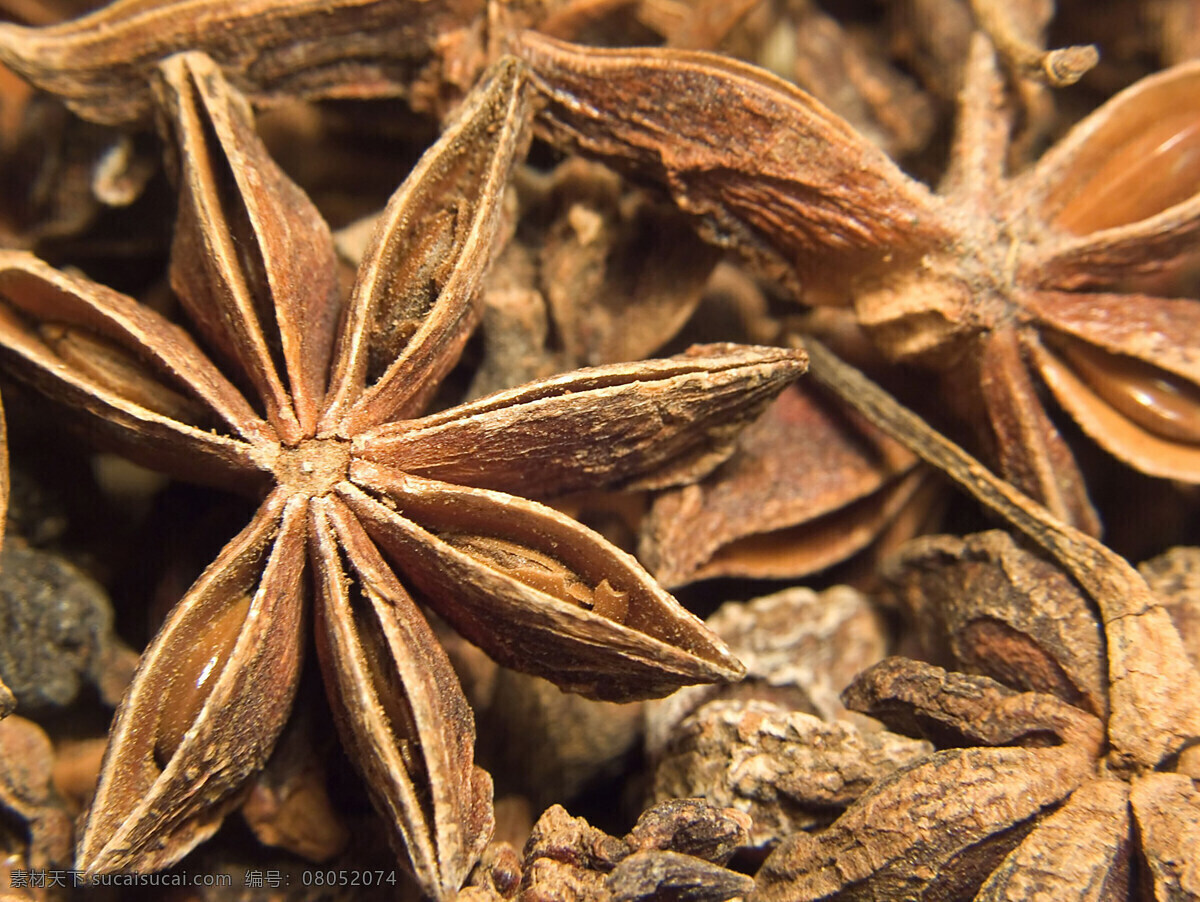 香料五香调味 花椒 辣椒 桂皮 陈皮 茴香 青椒 红椒 红花椒 绿花椒 绿椒 调料 调料大全 五香 五香调料 麻辣 麻辣调料 调货 小茴香 豆蔻 干木耳 调味品 八角 花椒树 香料 辣椒面 苦豆 草寇 香叶 五香调味 餐饮美食