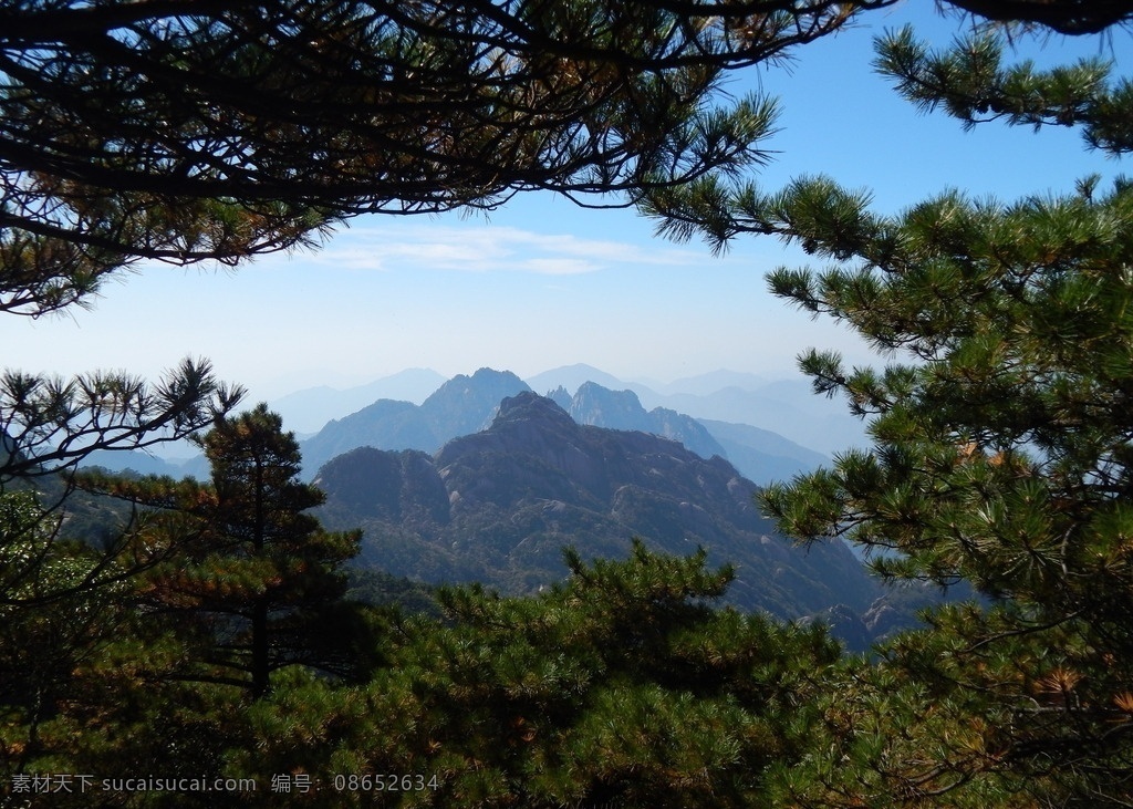 黄山风光 黄山旅游 黄山美景 黄山云海 旅游 云海 松树 高山 风景名胜 自然景观 安徽黄山 黄山秋色 黄山 安徽旅游景点 黄山景色 黄山山峰 山峰