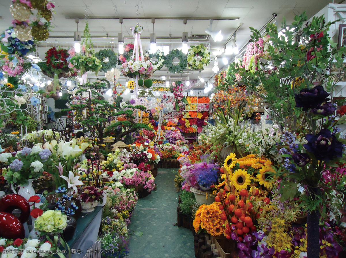 花店 花店摆设 群花 红花 玫瑰花 百合花 菊花 香水百合 绿叶 粉红 花室 花房 房间 鲜花 整齐 花草 生物世界