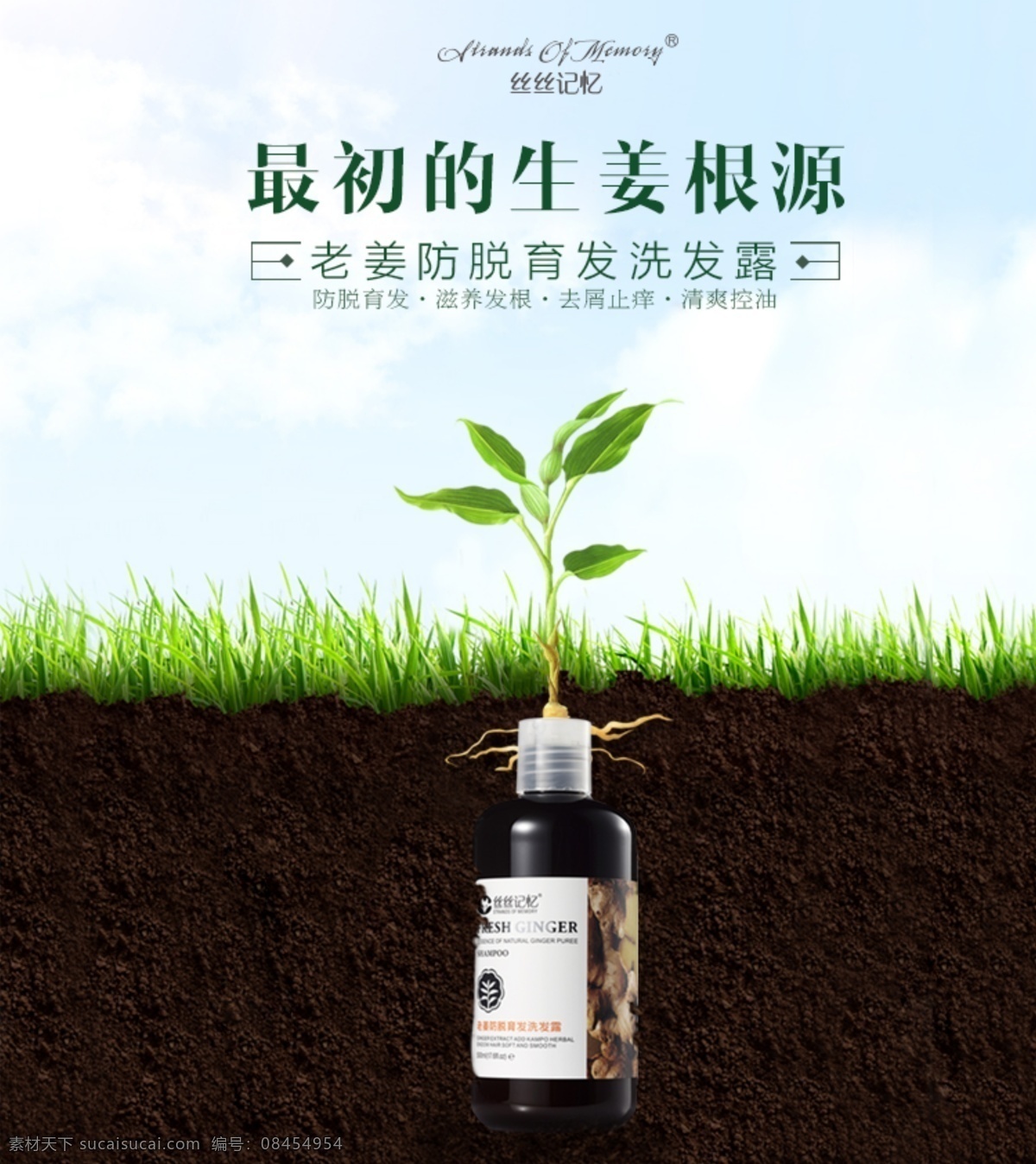 化妆品 海报 生姜 洗发水 主 图 微 商 代理 化妆品海报 生姜洗发水 洗发水主图 化妆品主图 微商 微商代理 微商素材 微商图片 化妆品微商 洗发水微商