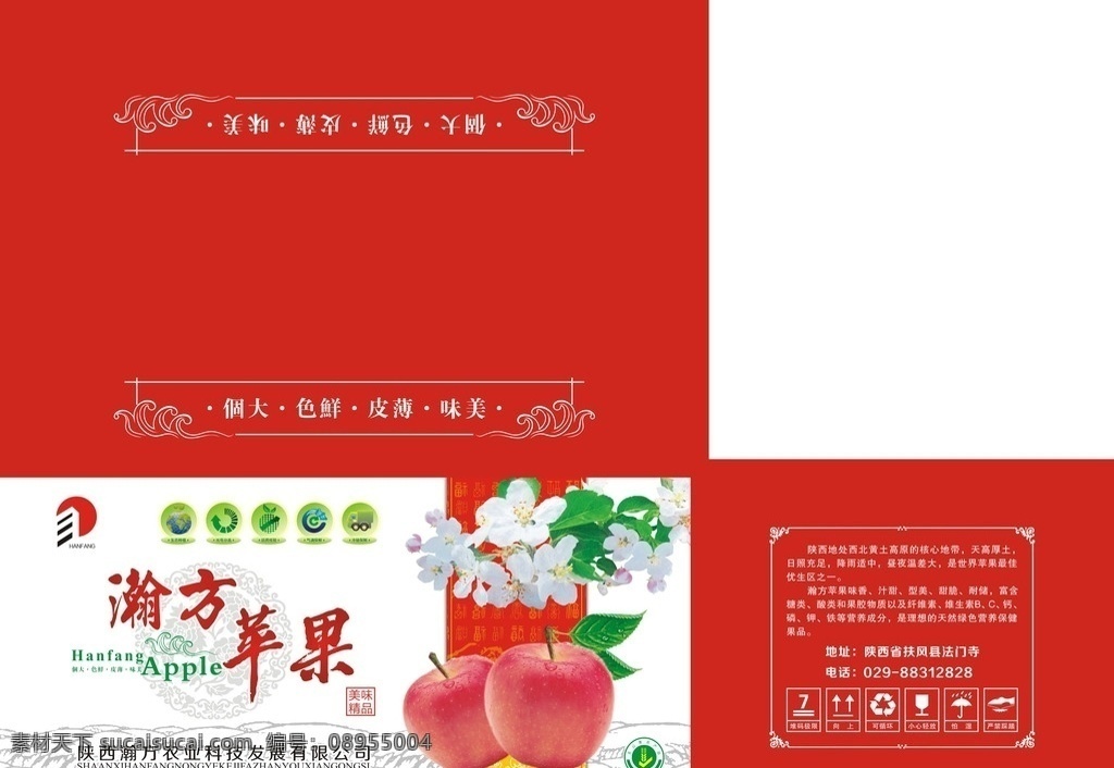 苹果包装 苹果 箱子 包装 扣盒 红富士 栖霞 分层 包装1 包装设计
