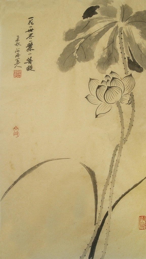 一花一世界图 一花一世界 画鸟 国画 荷花 花草 水墨画 禅意 书法 书画 传统画 我的国画 文化艺术 绘画书法