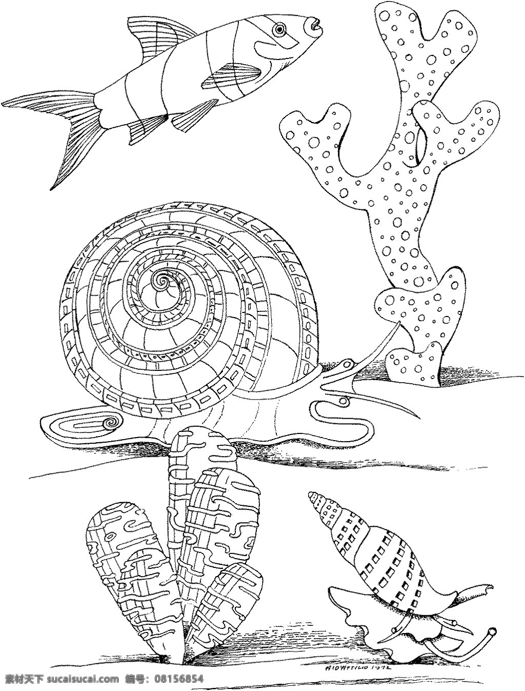 海洋生物 动物素材 海洋 动物 手绘 画 设计素材 动物专辑 素描速写 书画美术 白色