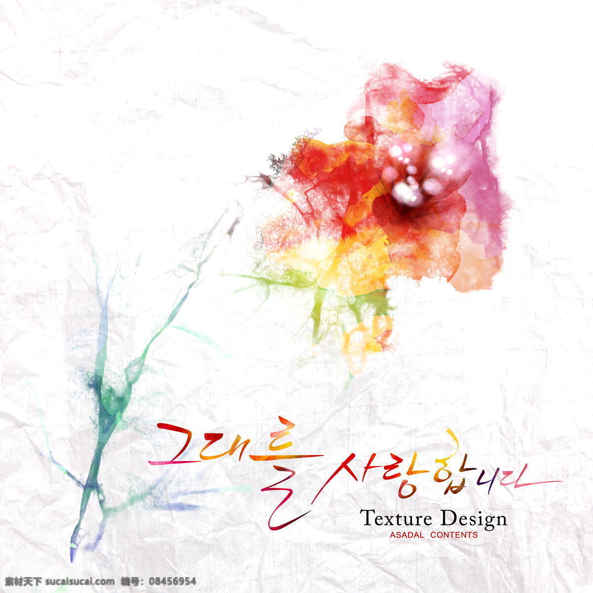 热情 红色 韩国 花朵 背景