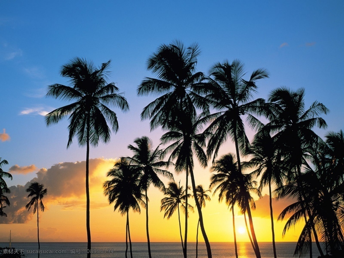 三亚 bmp 风景 海南 海滩 旅游 摄影图库 休闲 椰子树 自然景观 自然风景 psd源文件