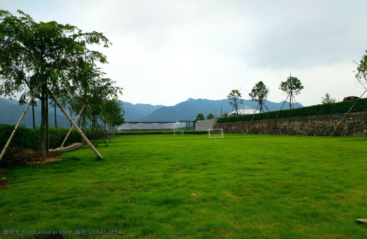 草坪 草地 草皮 拓展 绿草 旅游摄影 国内旅游