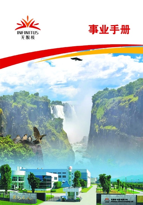 无限 极 事业 手册 封面 无限极标志 峡谷 老鹰 六只小鹰 蓝天白云 无限极全景 无限极公司 画册设计 广告设计模板 源文件