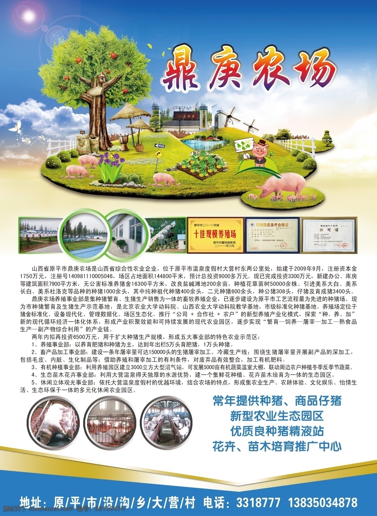 农场彩页 农场dm单 环保 生态 养殖场 企业文化 绿色环保 农场宣传 树 草地 蓝天白云 生态农场 dm宣传单 广告设计模板 源文件
