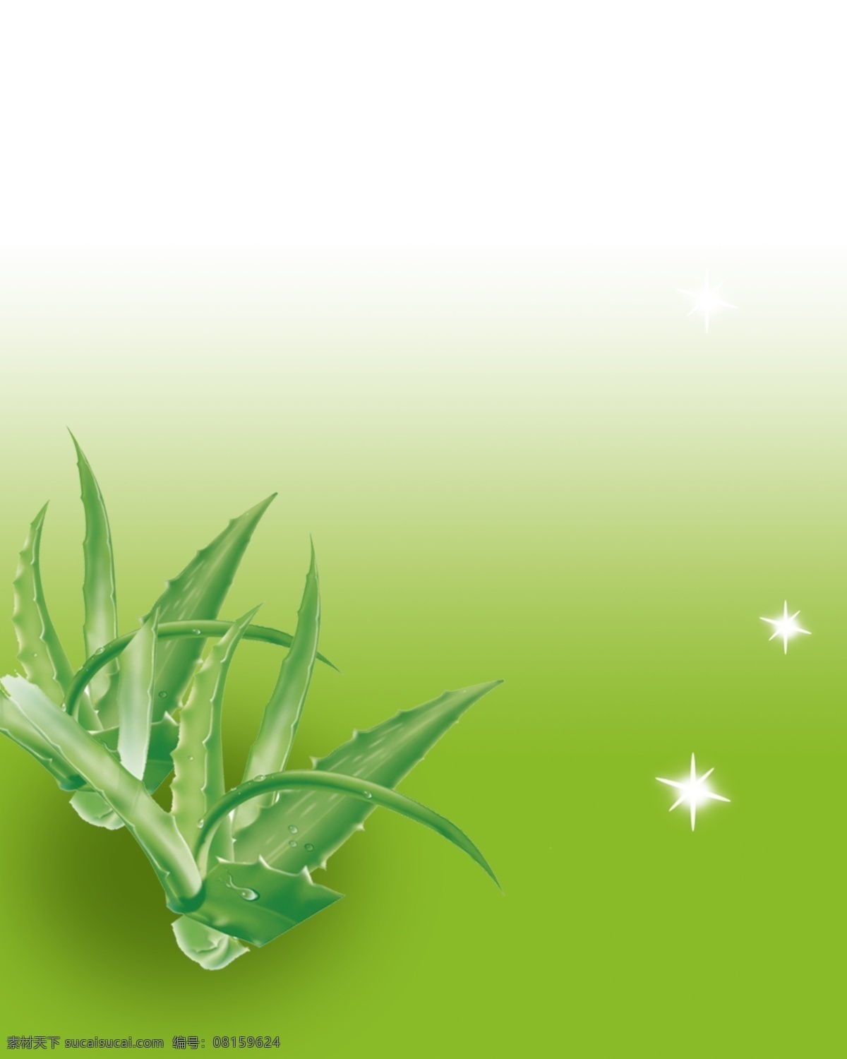 芦荟背景 芦荟 背景 绿色 星光 植物 分层