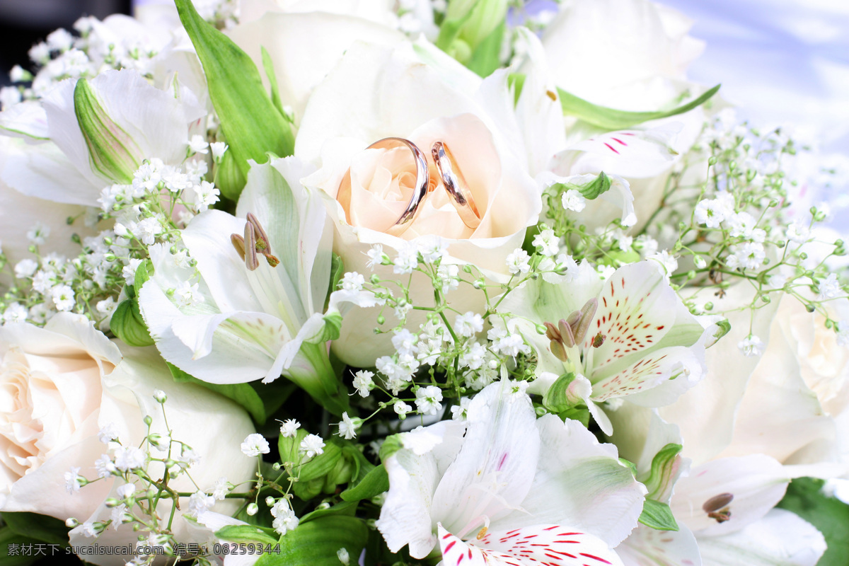 戒指 爱情 鲜花 玫瑰 情侣款 婚戒 钻戒 铂金 情侣 爱人 唯美 珠宝 首饰 情人节 浪漫 礼物 婚礼 白玫瑰 珠宝首饰 生活百科 生活素材