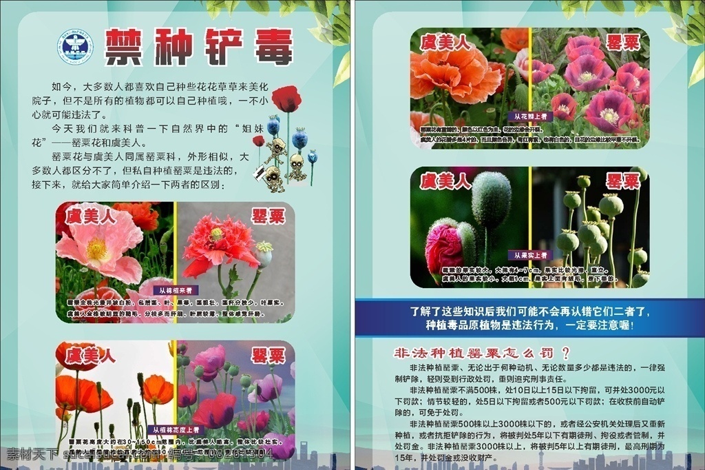 禁种铲毒 禁毒 dm 宣传单 铲毒 罂粟 大麻 禁止种毒 dm宣传单