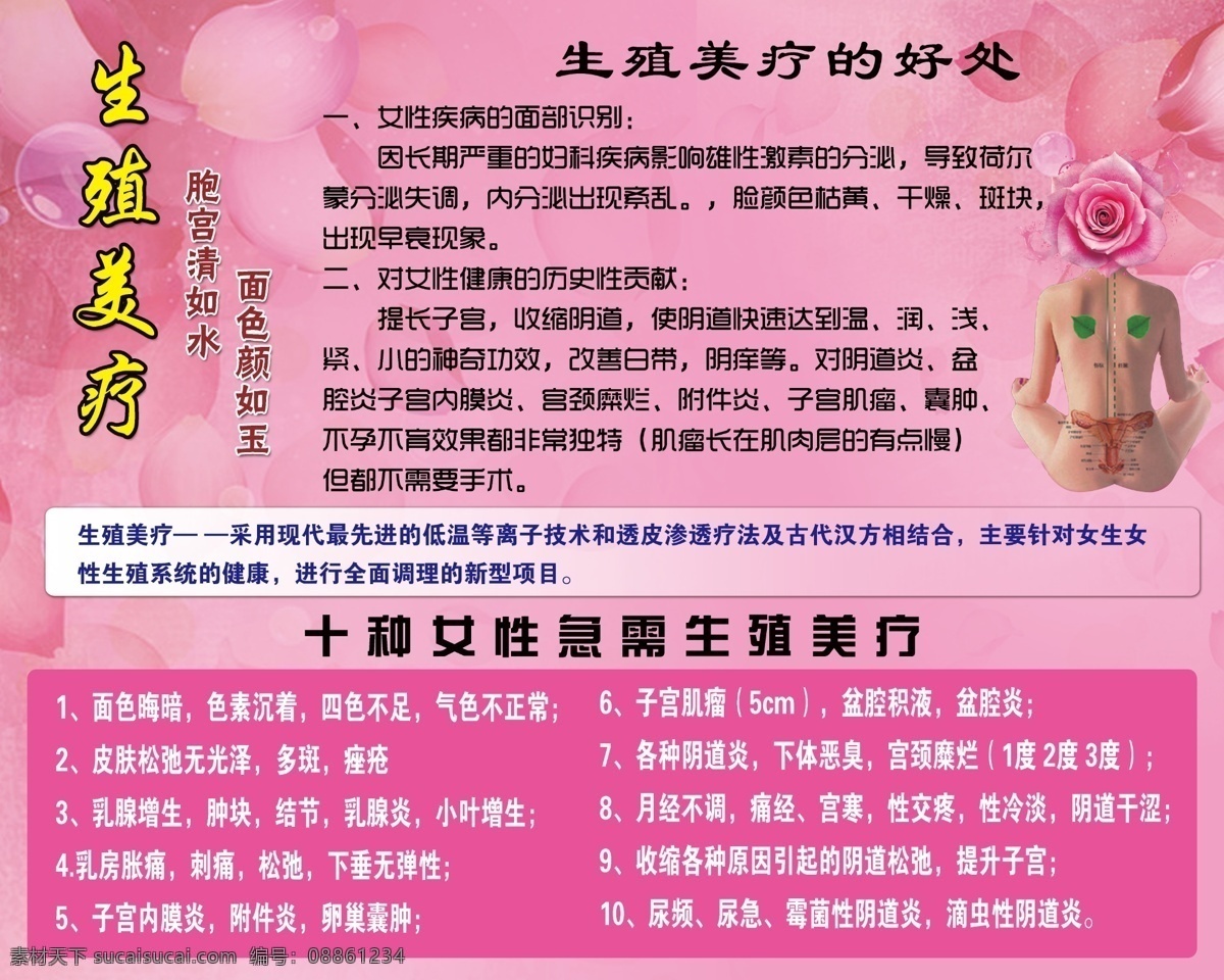 生殖美疗 国珍 女性健康 粉色 玫瑰花 养生 乐利来 理疗 分层