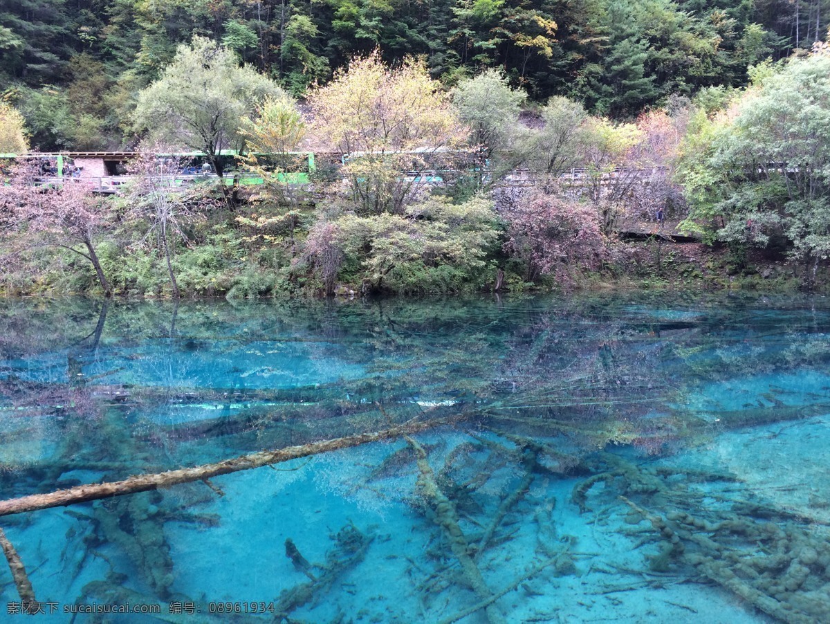 九寨沟 蓝色 晶莹剔透 流淌的 高山湖泊 水中倒影 旅游摄影 自然风景