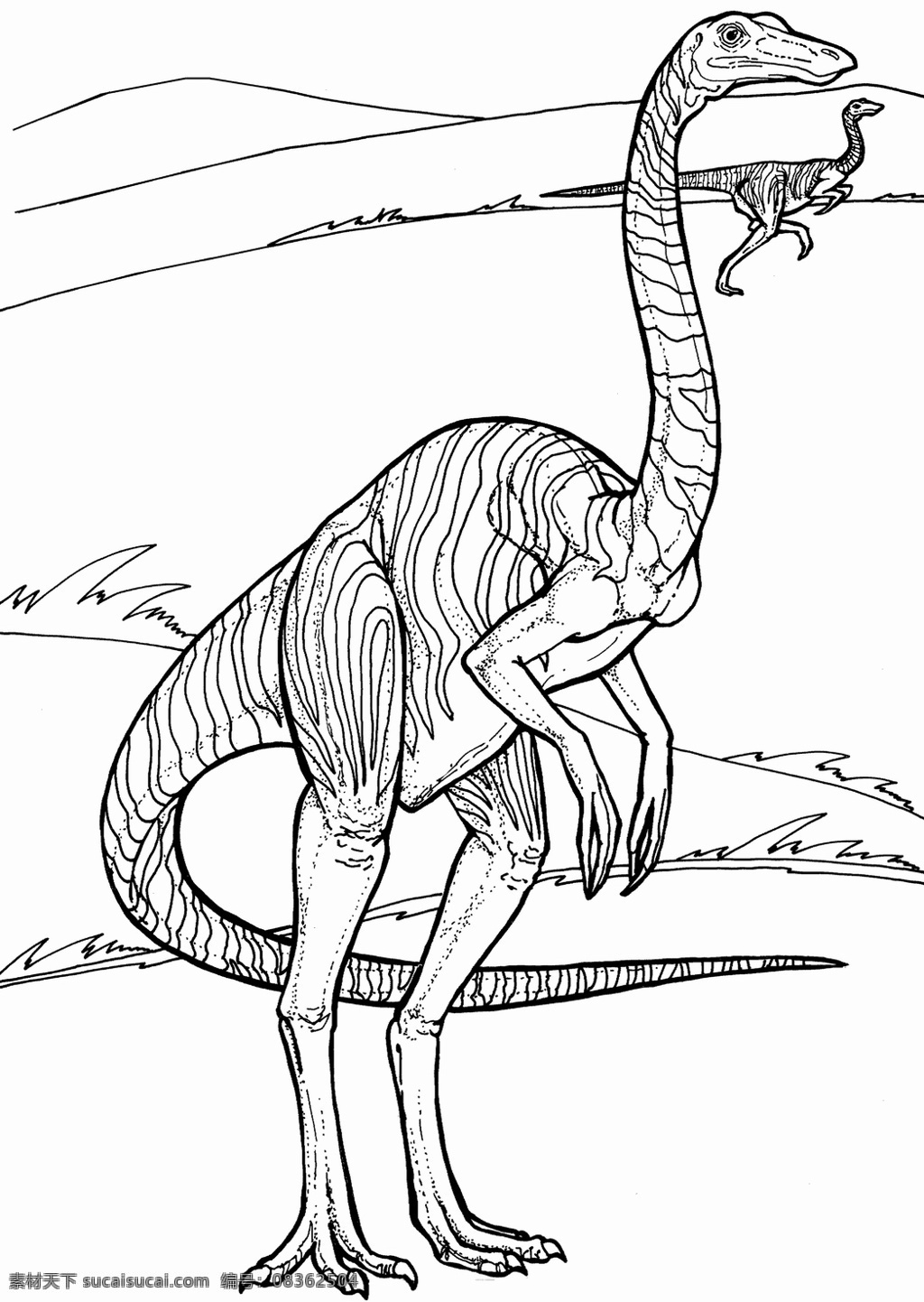 恐龙素描 远古 时代 动物 恐龙 手绘画 动物素描 手绘 画 设计素材 动物专辑 素描速写 书画美术 白色