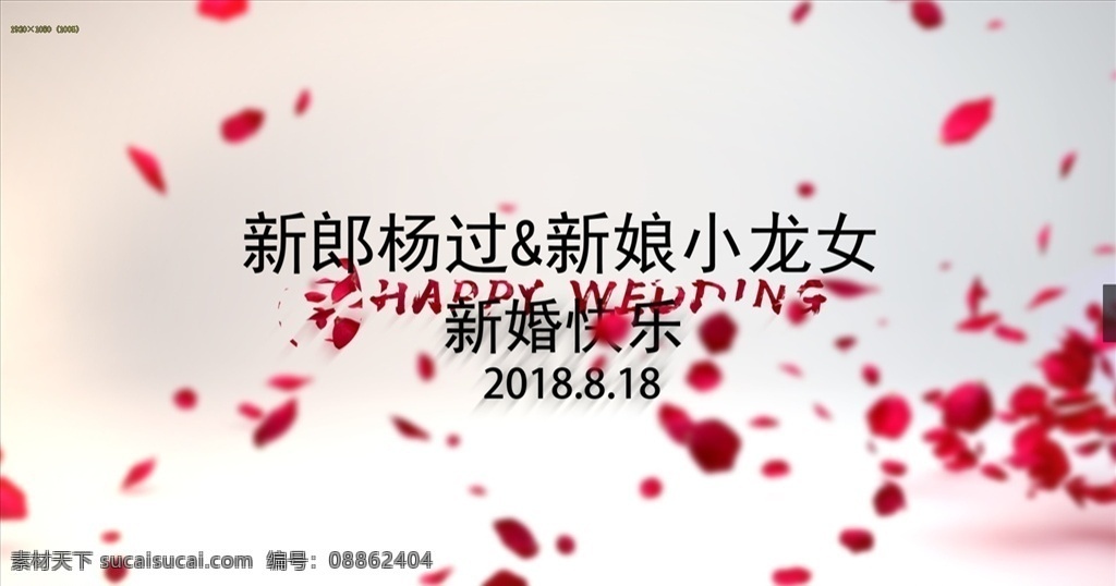 花瓣 婚礼 视频 片头 ae 模板 结婚 浪漫 ae模板 多媒体 影视编辑 ae模板素材 aep