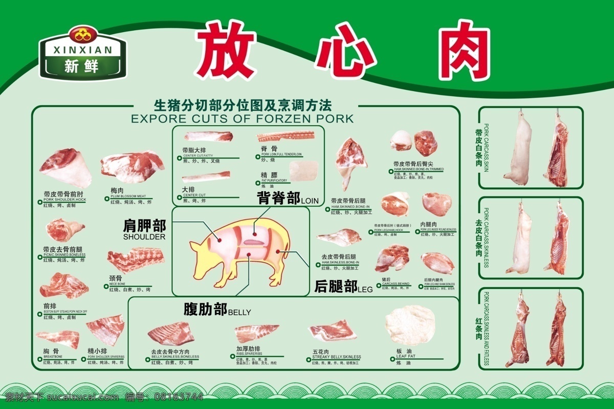 生猪 分切 部分 位图 烹调 方法 生猪分切 部分位图 烹调方法 生猪部位图 猪肉部位图 肉分切部位图 猪肉 猪肉广告 猪肉展板 展板 绿色背景 绿色展板
