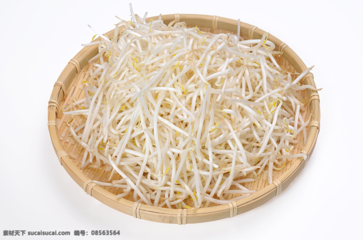 豆芽图片 豆芽 清新豆芽 豌豆苗 黄豆芽 绿豆芽 豆芽苗 健康食材 蔬菜超市广告 有机蔬菜 农家蔬菜 无公害 蔬菜展板 蔬菜海报 蔬菜文化 蔬菜图片 蔬菜素材 蔬菜挂画 蔬菜饮食 蔬菜营养 蔬菜超市 蔬菜市场 蔬菜广告 新鲜蔬菜 绿色蔬菜 蔬菜食堂 蔬菜饭店 蔬菜模板 蔬菜扁豆 蔬菜蚕豆 餐饮美食 生物世界 蔬菜
