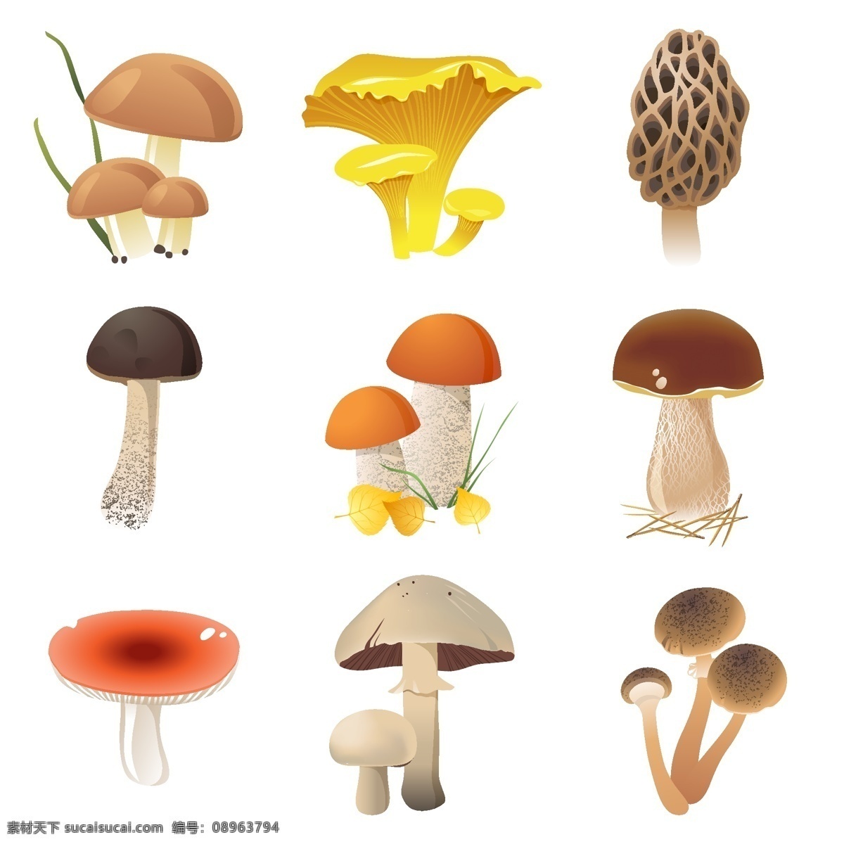 蘑菇蘑菇|插画|插画习作|YURONG97 - 原创作品 - 站酷 (ZCOOL)