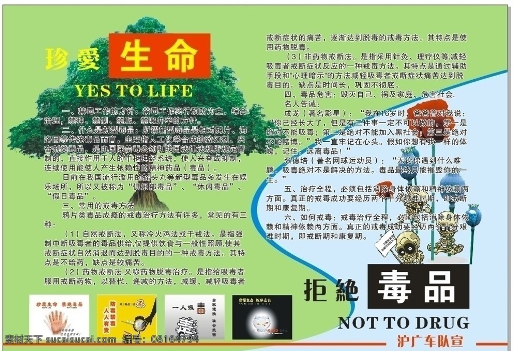 珍爱 生命 拒绝 毒品 珍爱生命 拒绝毒品 大树 罂粟 展板模板 矢量