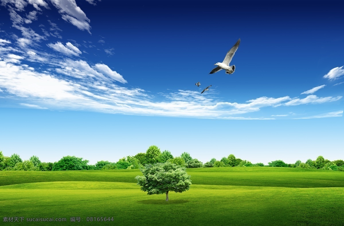 唯美户外风景 风景 户外 自然 清新背景 健康环境 大树 企业文化 野外 绿色 环保 节能 健康 社区展板背景 唯美 风景类 分层 源文件