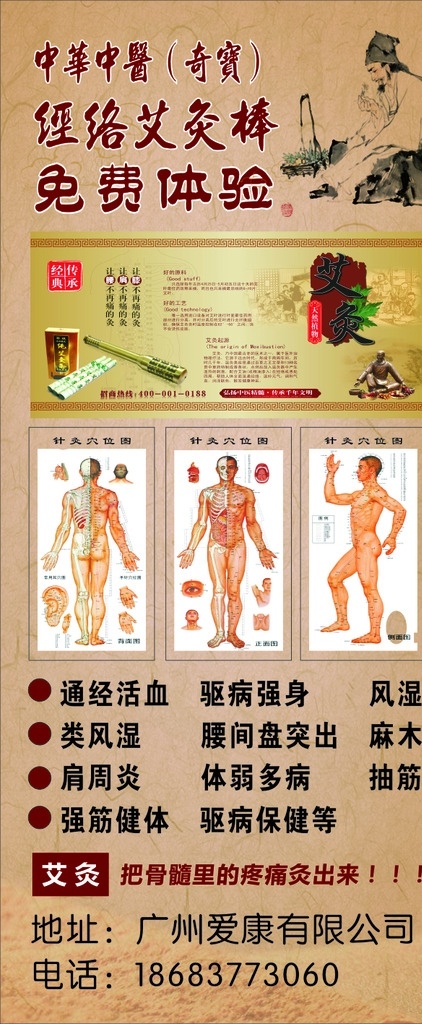 中医艾灸展架 中医 艾灸 展架 人体