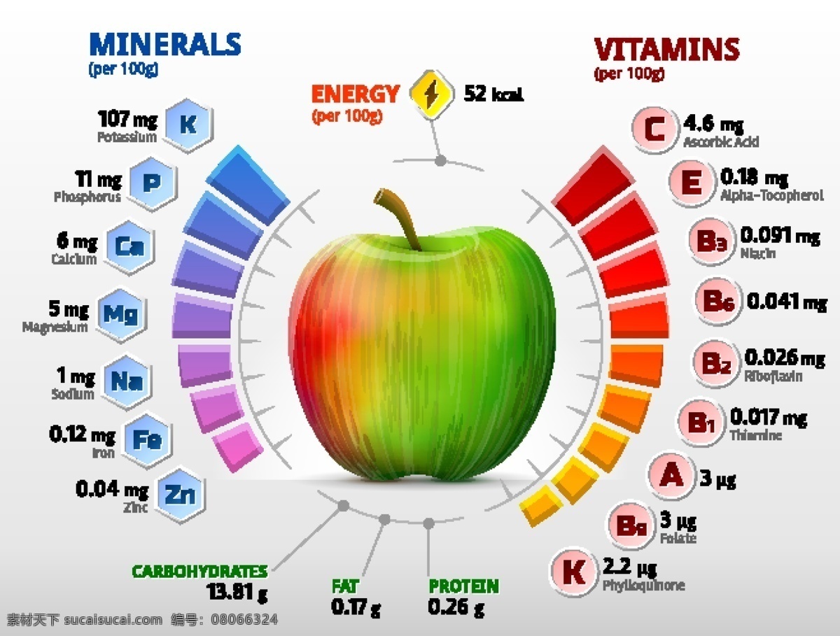 创意 苹果 维他命 含量 信息 图 矢量 水果 信息图