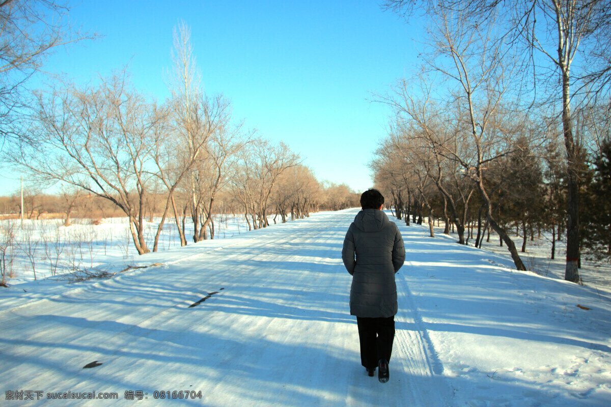 孤独回乡路 雪 小路 回乡 孤独 寂静 自然景观 田园风光