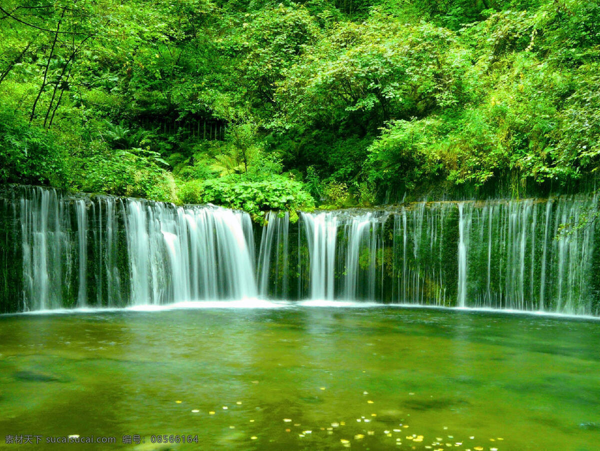 瀑布 水布 瀑布池 绿树 自然风景 自然景观