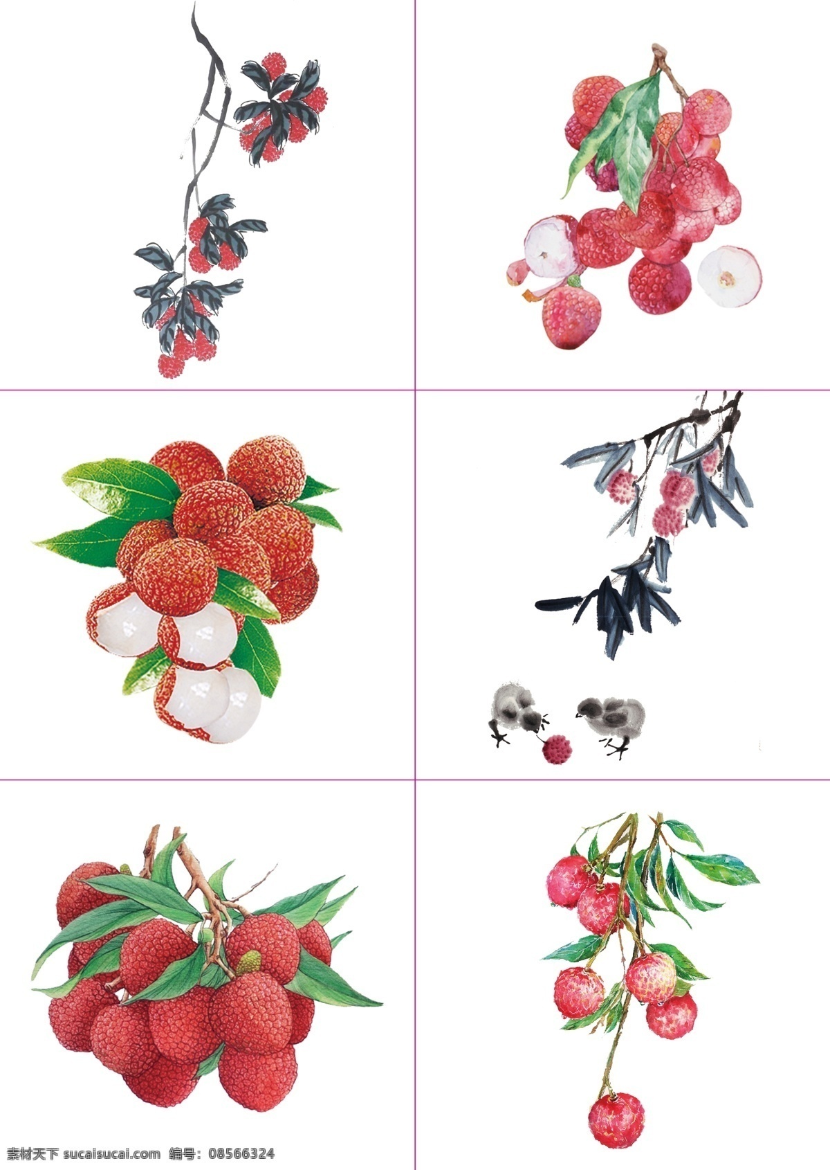 手绘荔枝 荔枝 红色荔枝 荔枝果子 果子 食物 美味食物 水果 美味水果 水果素材 水墨荔枝 水墨画 精美水墨画 手绘素材 平面素材 设计素材 唯美素材 精美素材 蔬果素材 分层