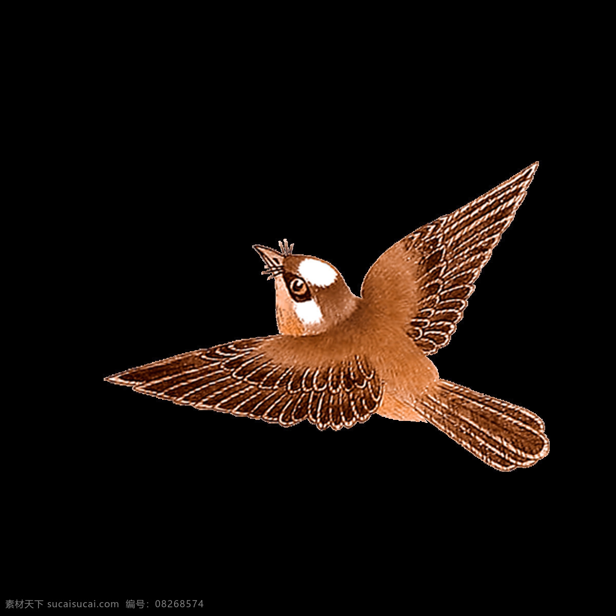飞翔 咖 色 小鸟 元素 鸟类 动物 翅膀